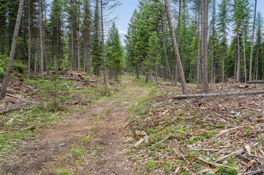 925 Yelping Coyote Run Trego MT 59934