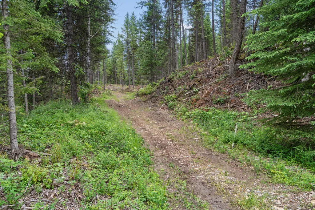 925 Yelping Coyote Run Trego MT 59934