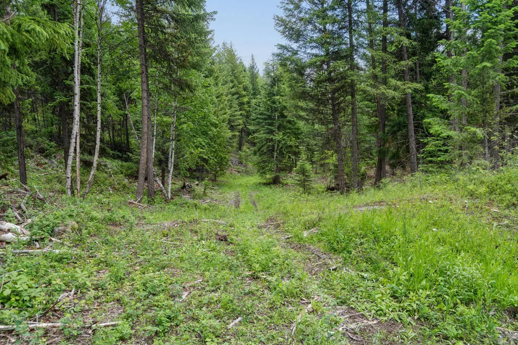 925 Yelping Coyote Run Trego MT 59934
