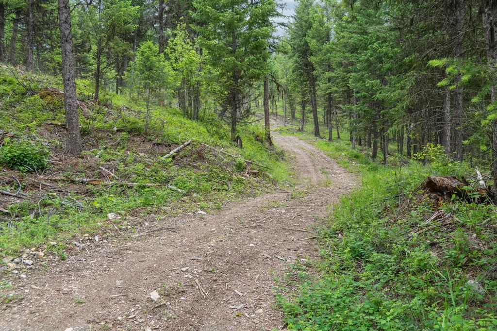 925 Yelping Coyote Run Trego MT 59934