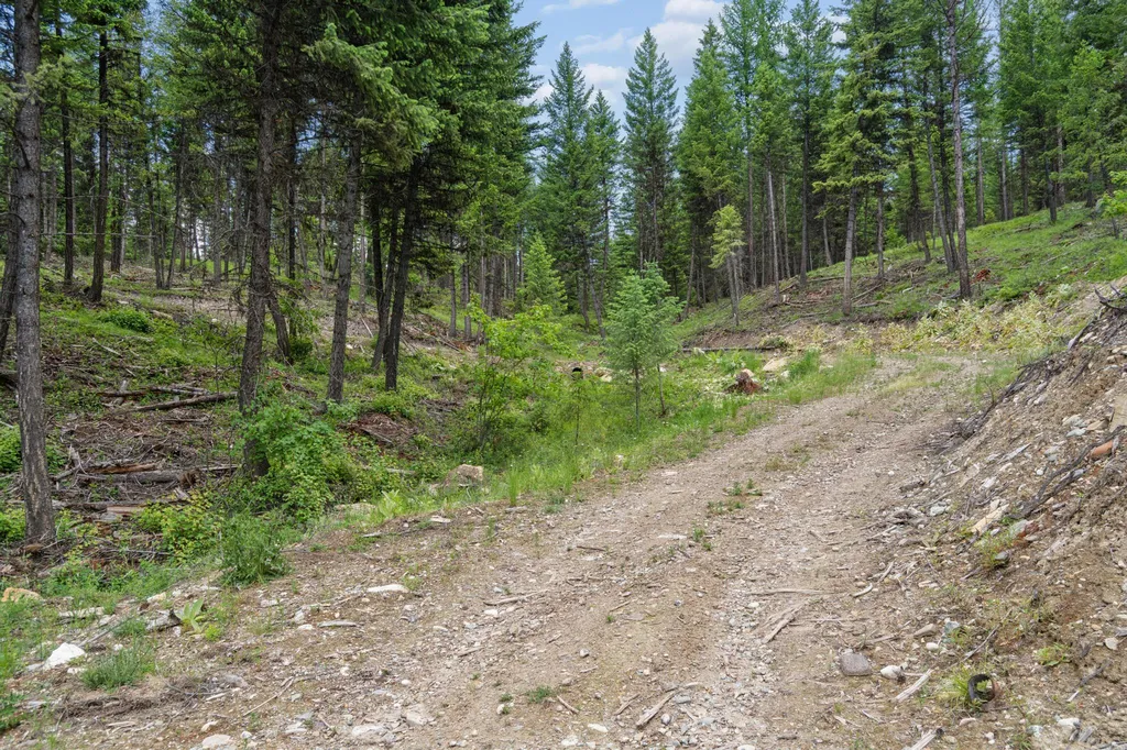 925 Yelping Coyote Run Trego MT 59934