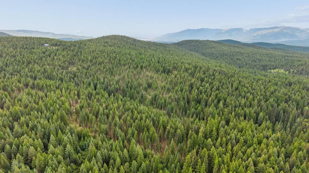 925 Yelping Coyote Run Trego MT 59934