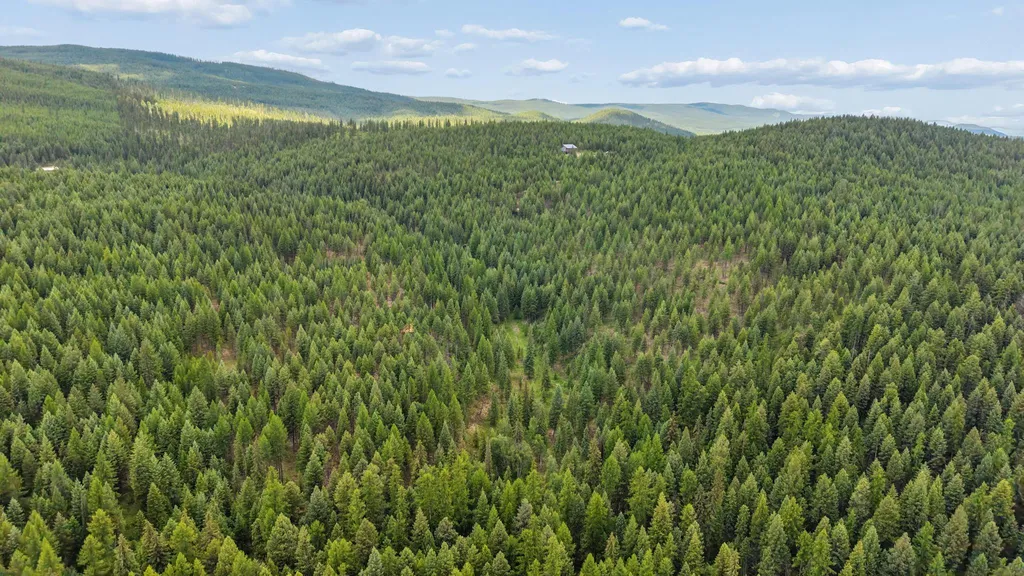 925 Yelping Coyote Run Trego MT 59934