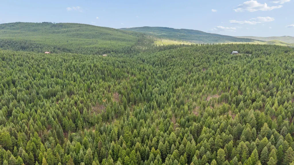 925 Yelping Coyote Run Trego MT 59934