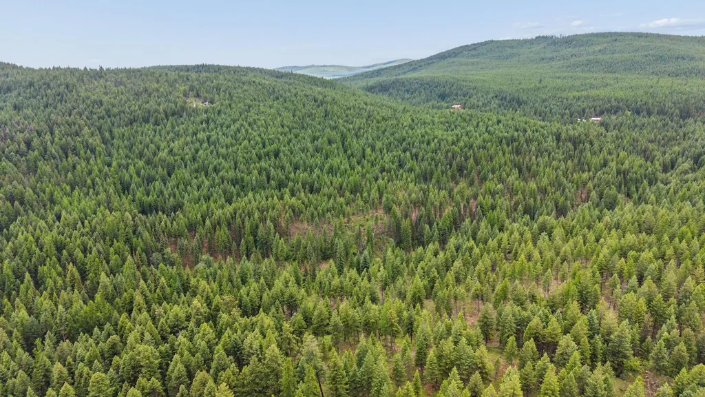 925 Yelping Coyote Run Trego MT 59934