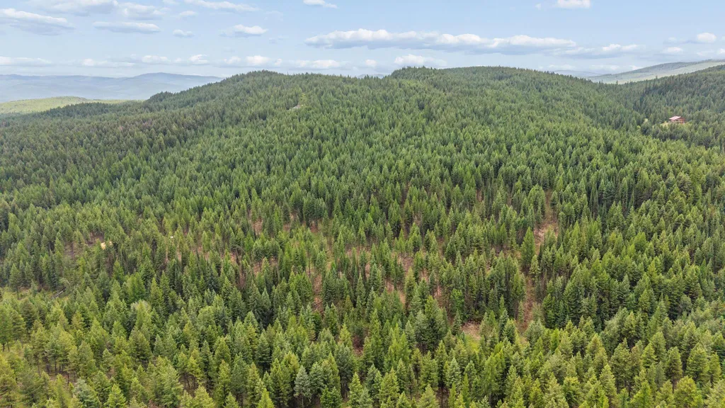 925 Yelping Coyote Run Trego MT 59934