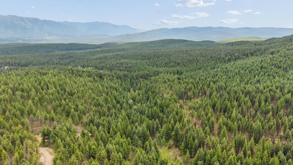 925 Yelping Coyote Run Trego MT 59934
