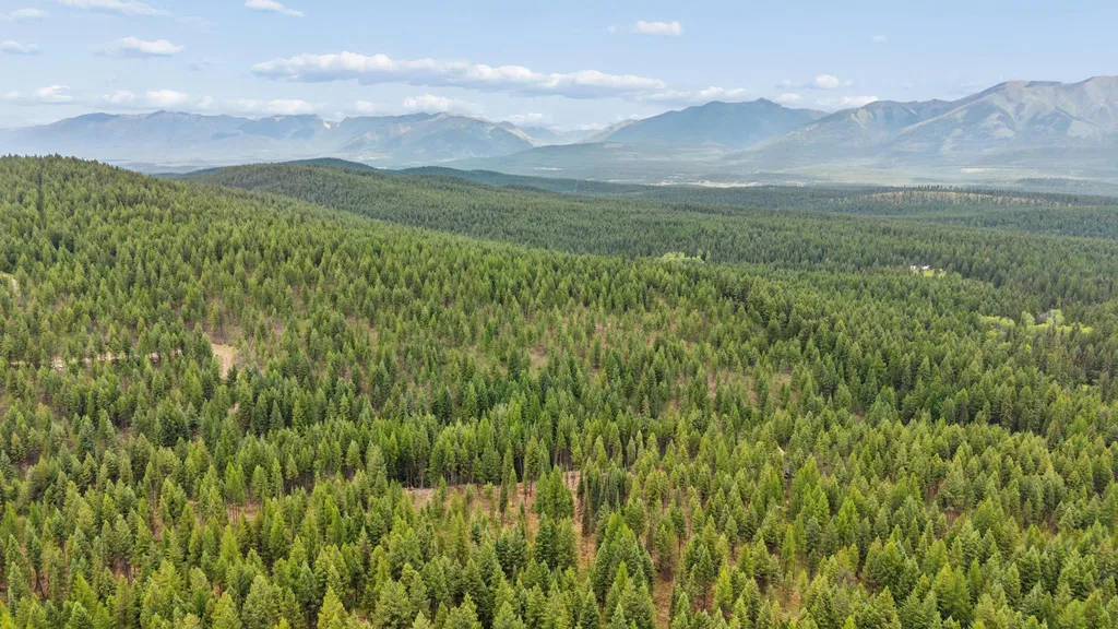 925 Yelping Coyote Run Trego MT 59934