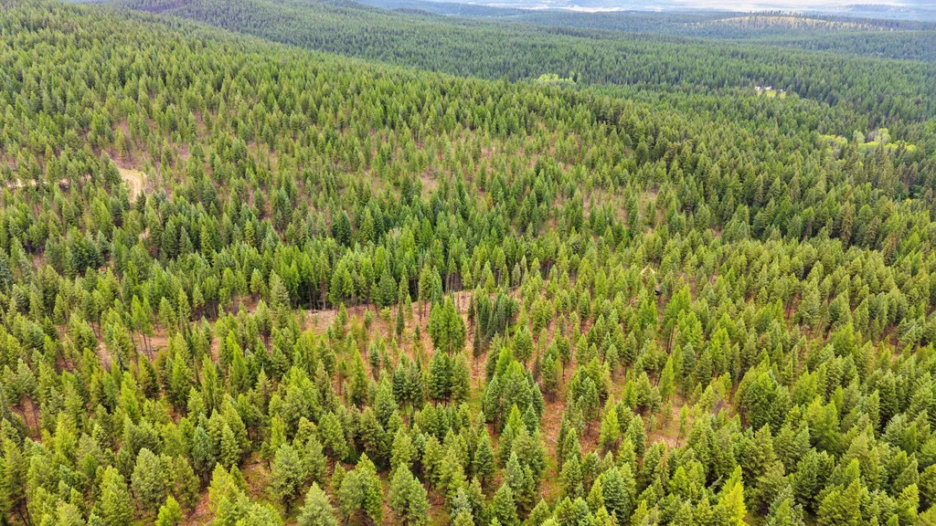 925 Yelping Coyote Run Trego MT 59934