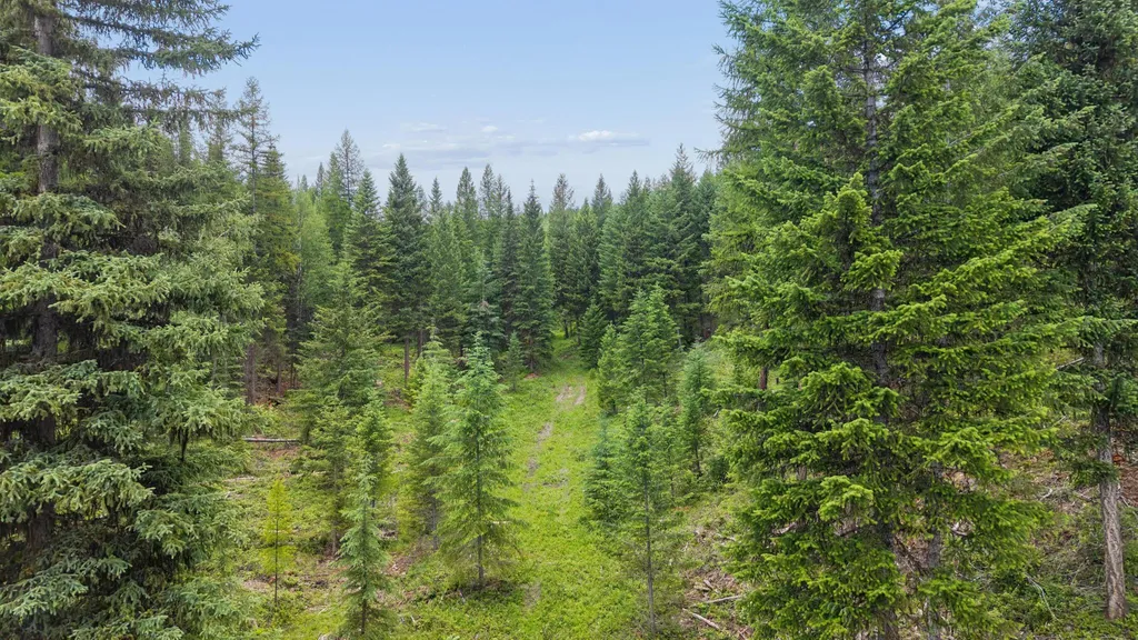 925 Yelping Coyote Run Trego MT 59934