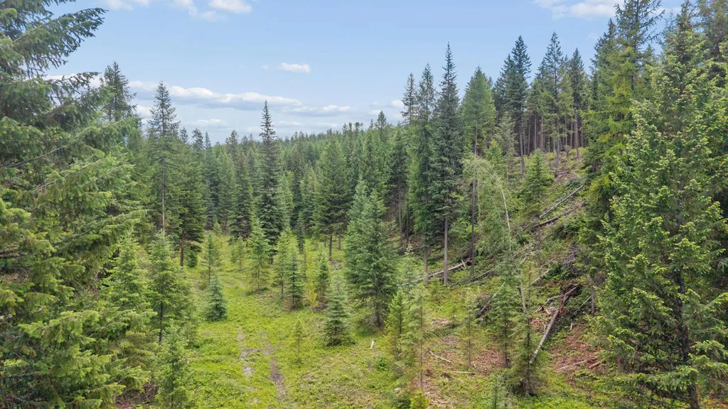 925 Yelping Coyote Run Trego MT 59934