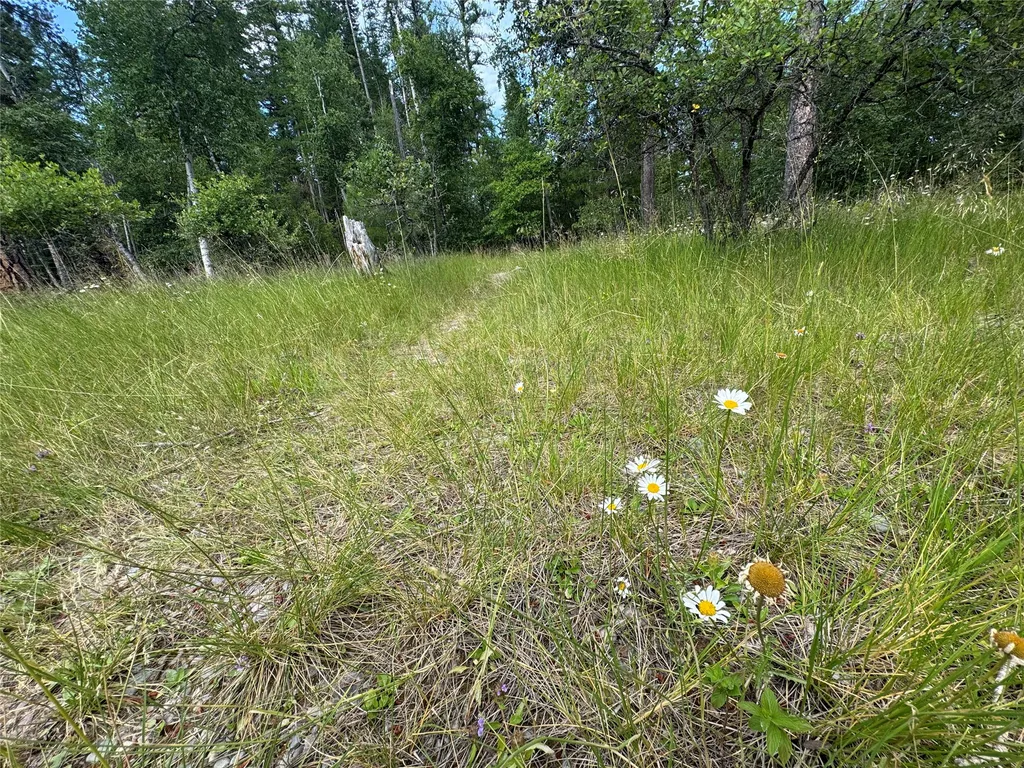 13643 Sundance Trail Bigfork MT 59911