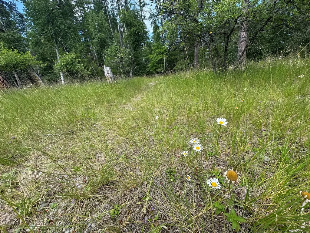 13643 Sundance Trail Bigfork MT 59911