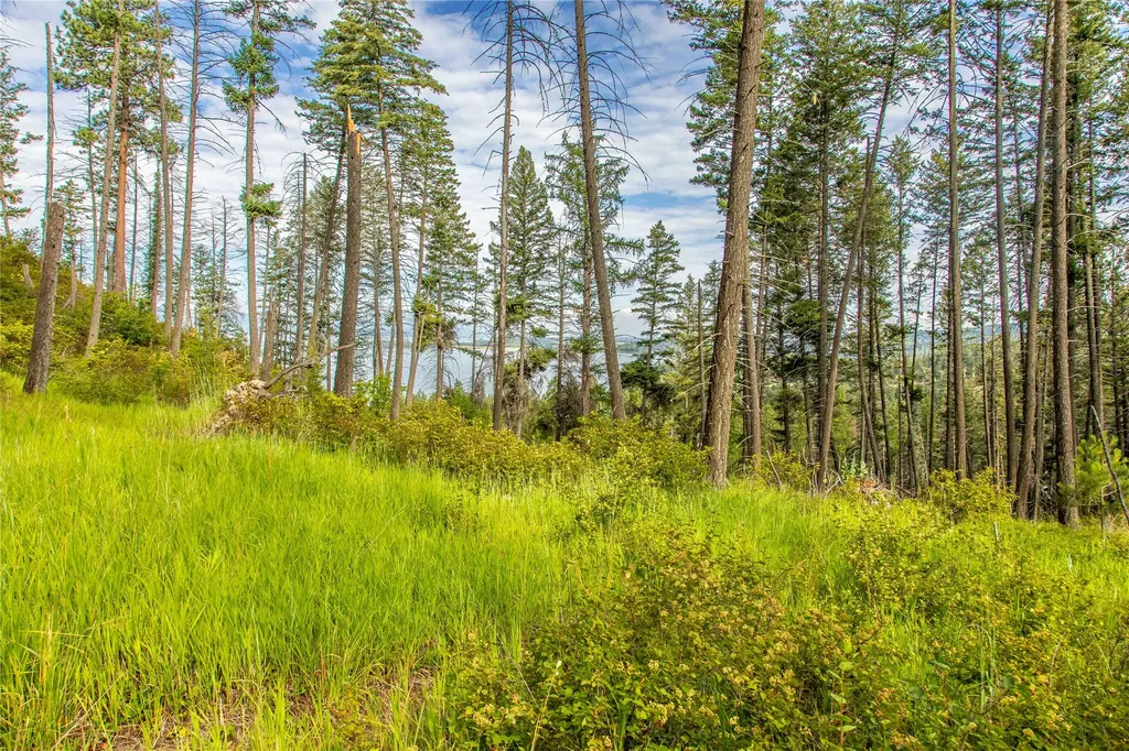 338 Flathead Lodge Road Bigfork MT 59911