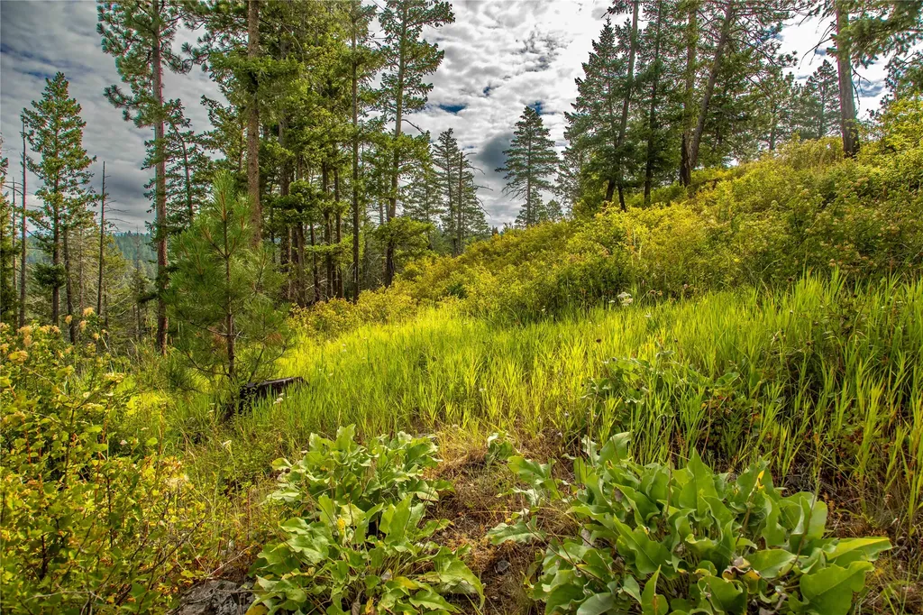 338 Flathead Lodge Road Bigfork MT 59911