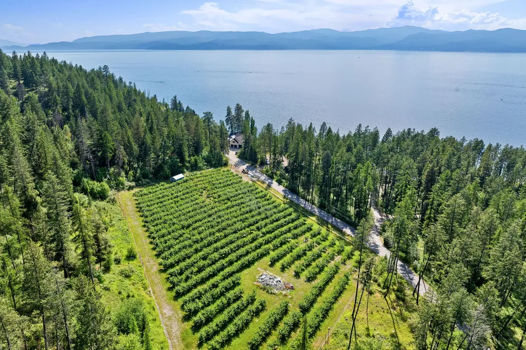 338 Flathead Lodge Road Bigfork MT 59911