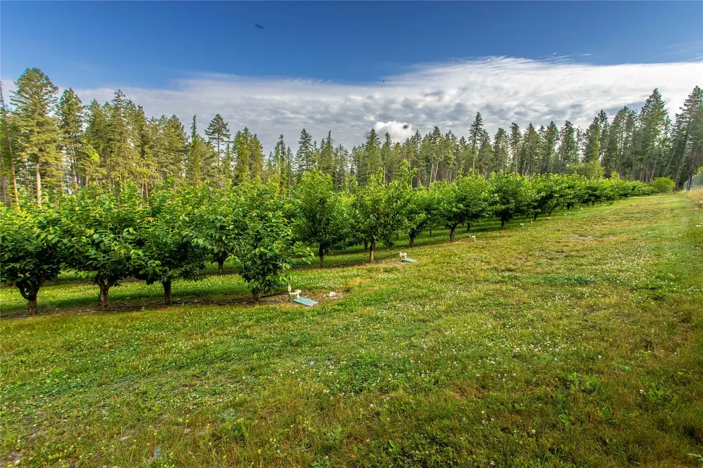 338 Flathead Lodge Road Bigfork MT 59911