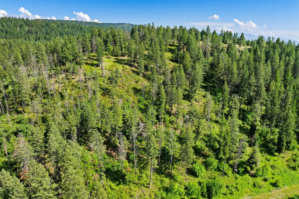 338 Flathead Lodge Road Bigfork MT 59911