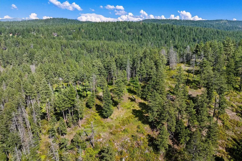 338 Flathead Lodge Road Bigfork MT 59911