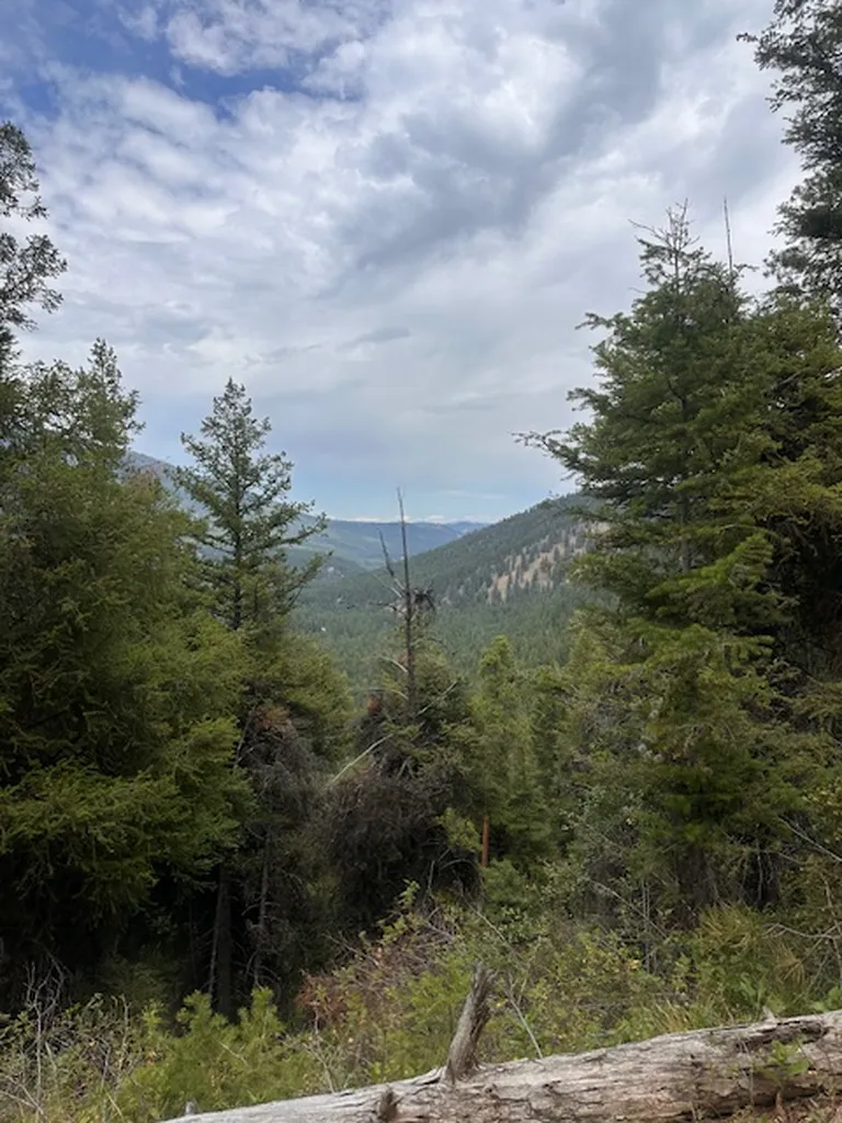 695 Steep Creek Road Darby MT 59829