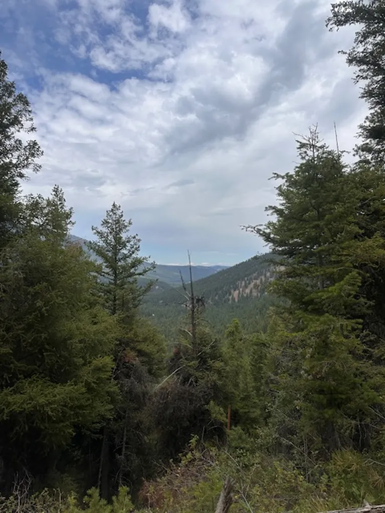 695 Steep Creek Road Darby MT 59829
