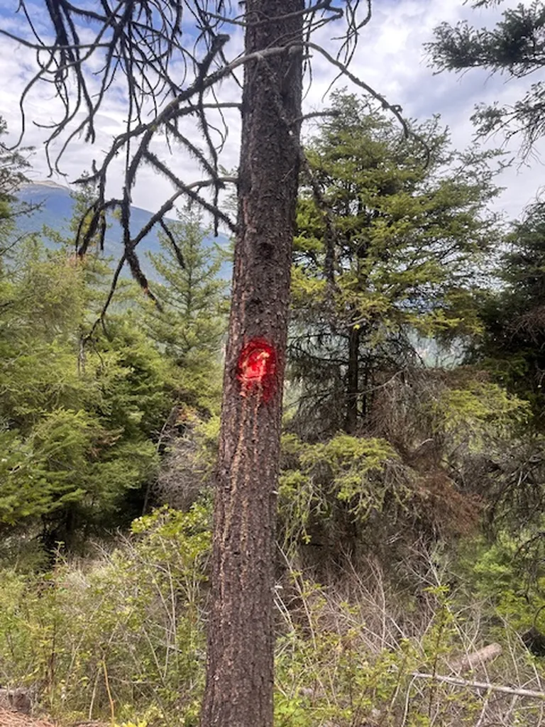 695 Steep Creek Road Darby MT 59829