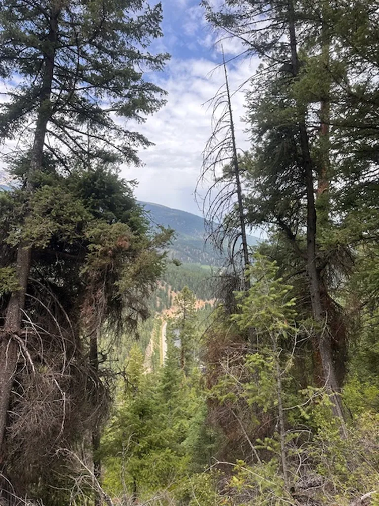 695 Steep Creek Road Darby MT 59829