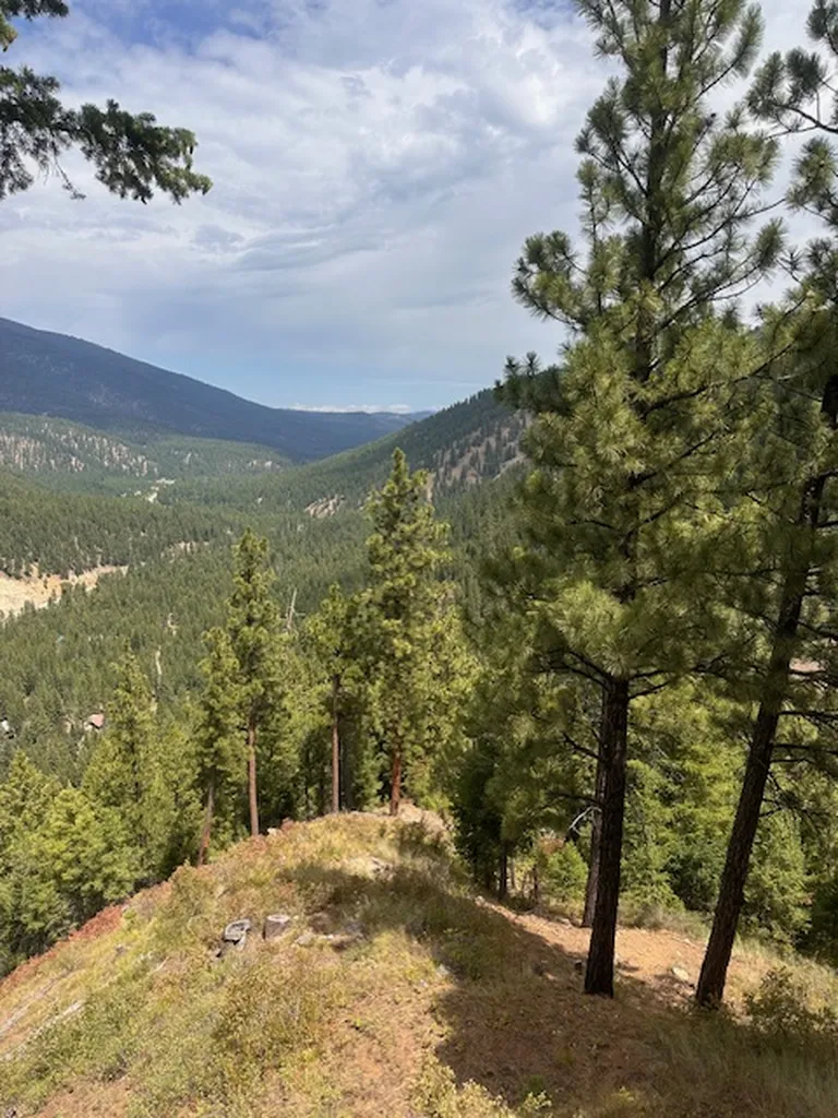 695 Steep Creek Road Darby MT 59829