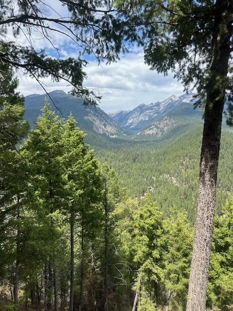 695 Steep Creek Road Darby MT 59829