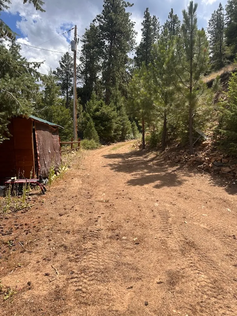 695 Steep Creek Road Darby MT 59829
