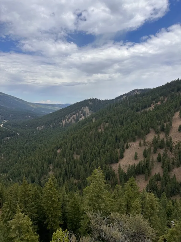 695 Steep Creek Road Darby MT 59829