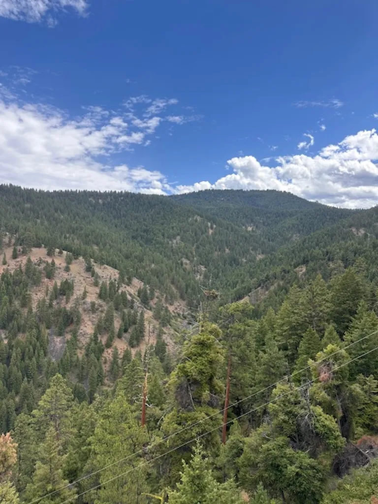 695 Steep Creek Road Darby MT 59829