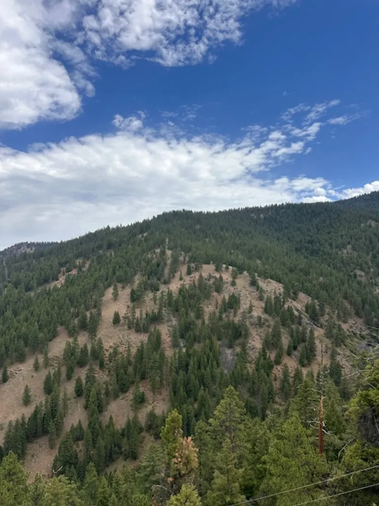 695 Steep Creek Road Darby MT 59829