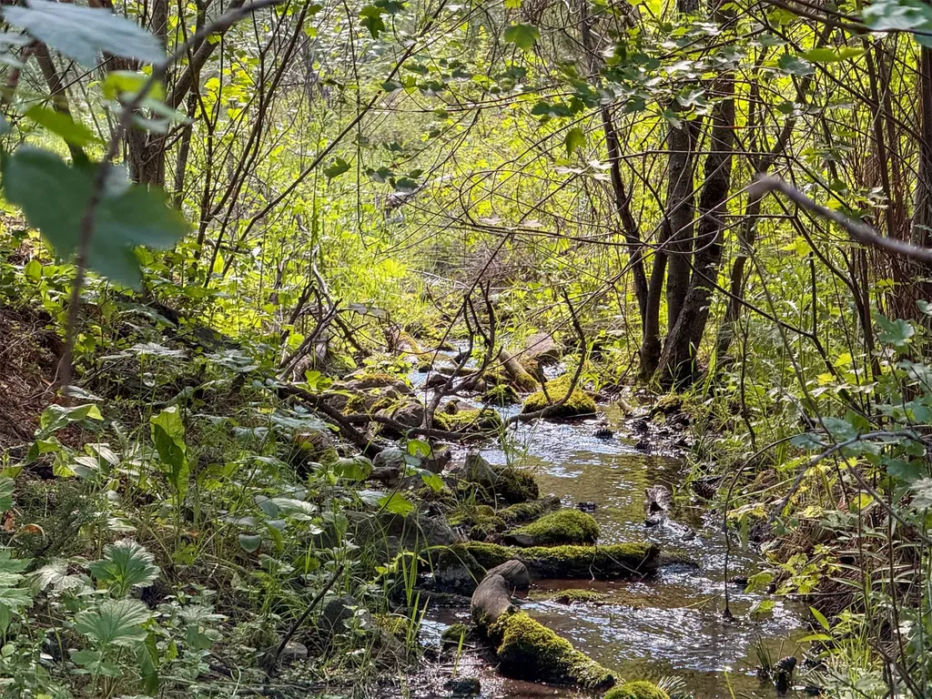 40 Shadow Lane Cascade MT 59421
