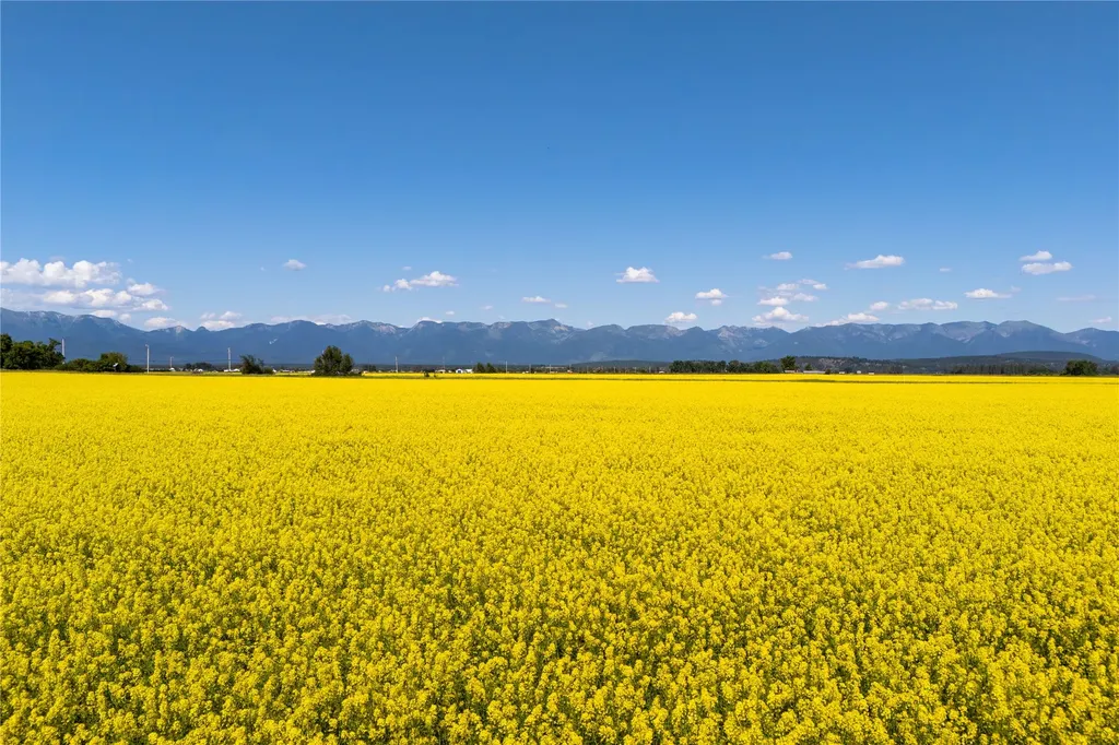 1000 Mt Highway 82 Somers MT 59932