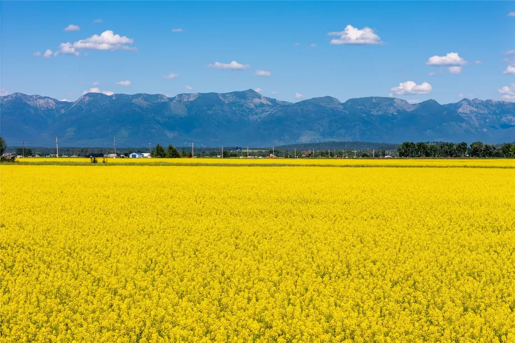 1000 Mt Highway 82 Somers MT 59932