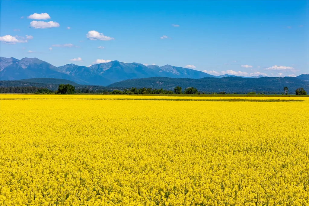 1000 Mt Highway 82 Somers MT 59932