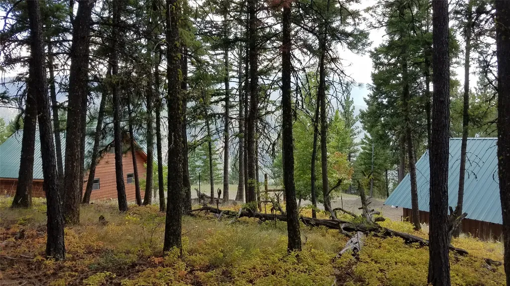 2200 Petty Creek Road Alberton MT 59820