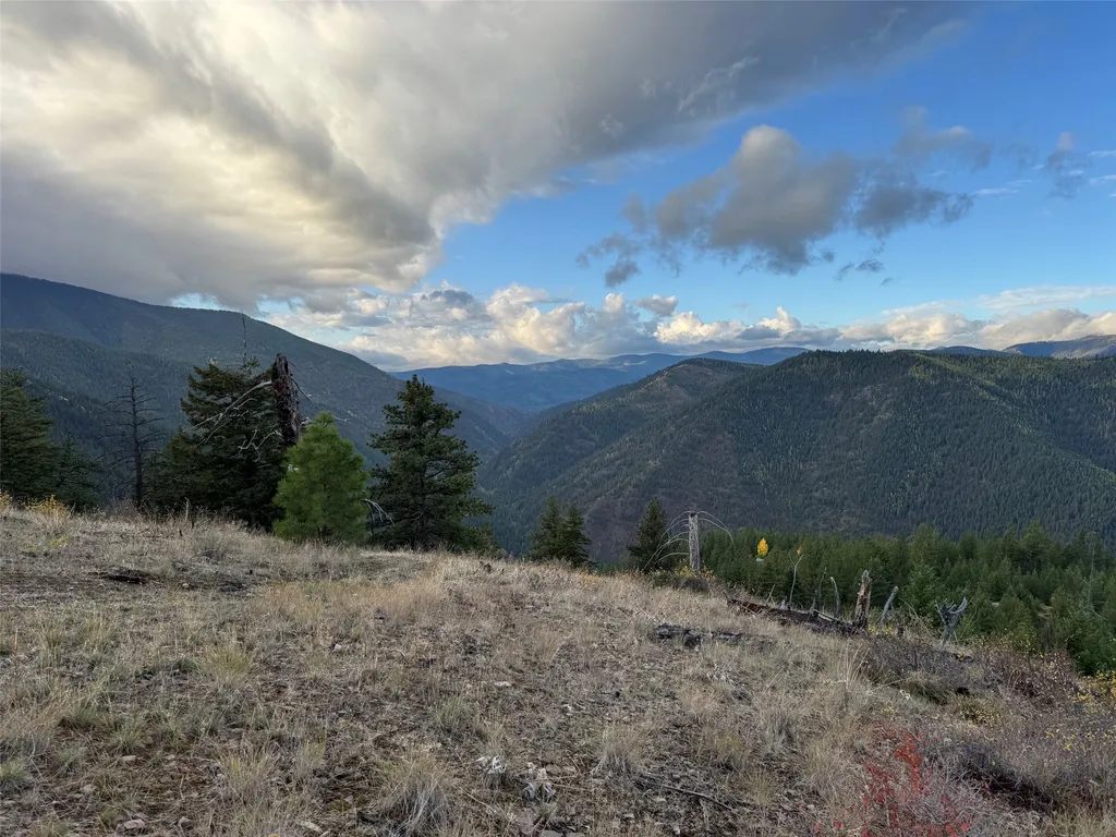 2200 Petty Creek Road Alberton MT 59820