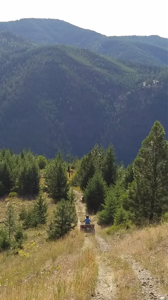 2200 Petty Creek Road Alberton MT 59820