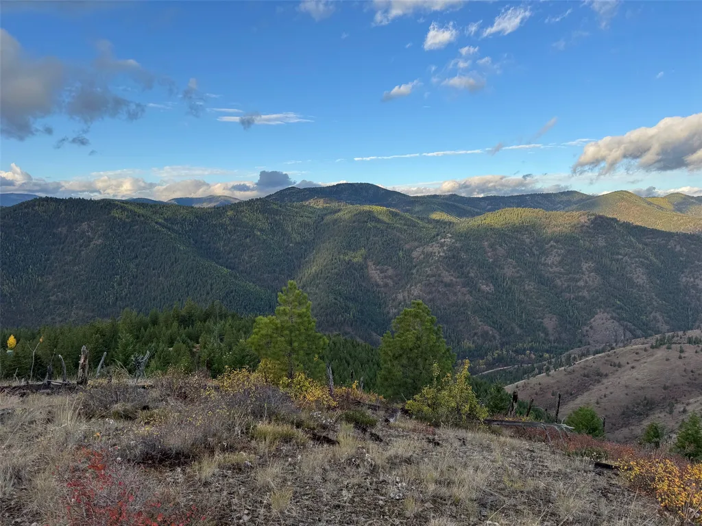 2200 Petty Creek Road Alberton MT 59820