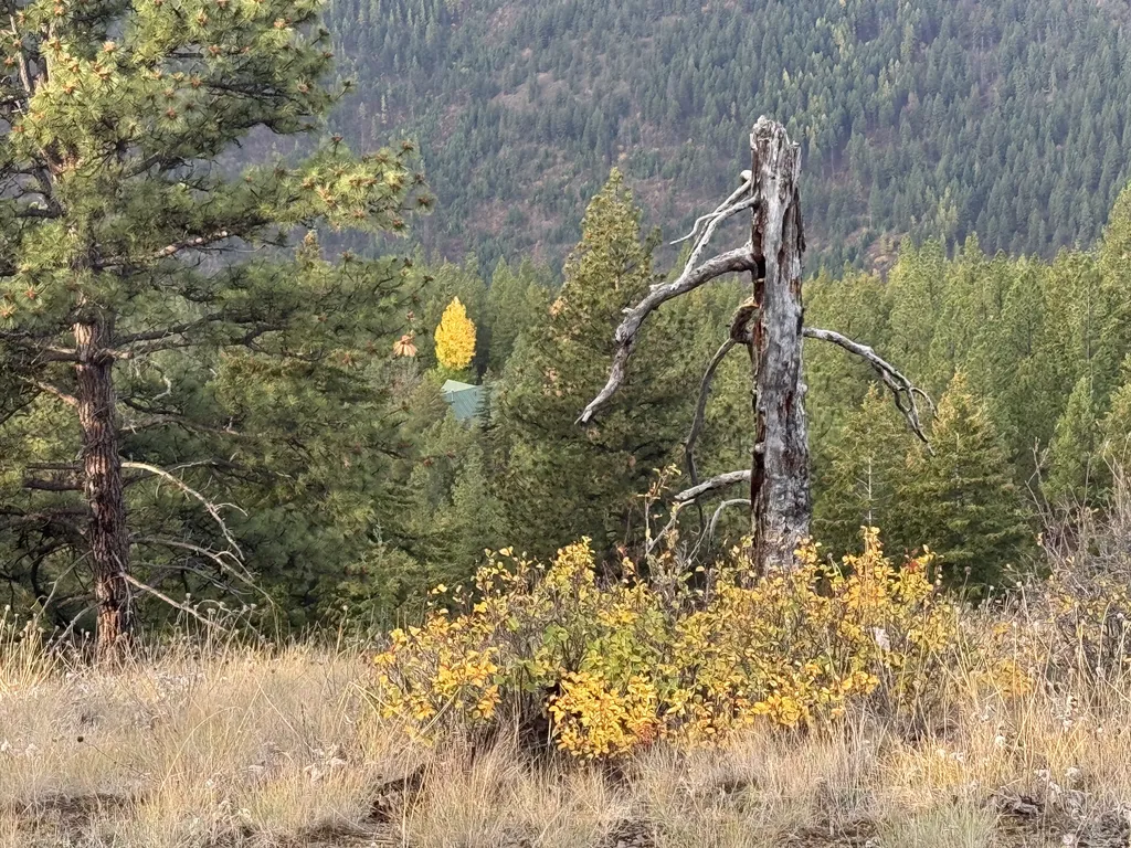2200 Petty Creek Road Alberton MT 59820