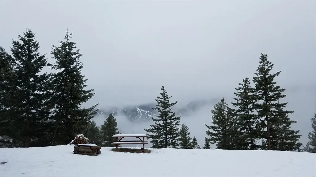 2200 Petty Creek Road Alberton MT 59820