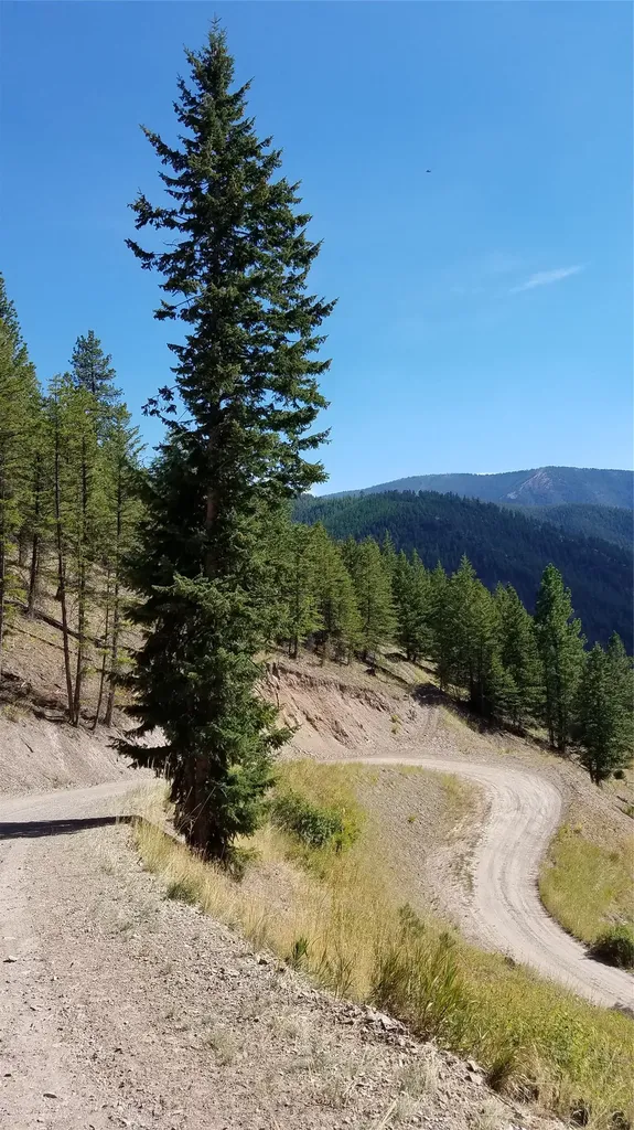 2200 Petty Creek Road Alberton MT 59820
