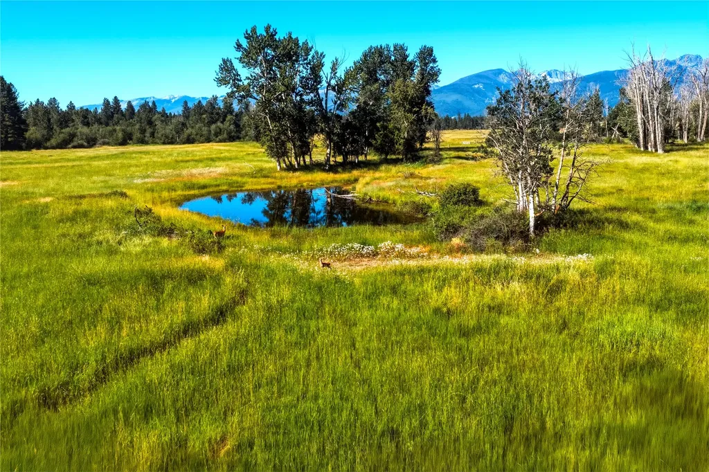 2291 Meridian Road Victor MT 59875
