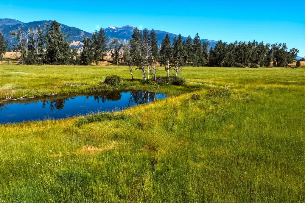 2291 Meridian Road Victor MT 59875