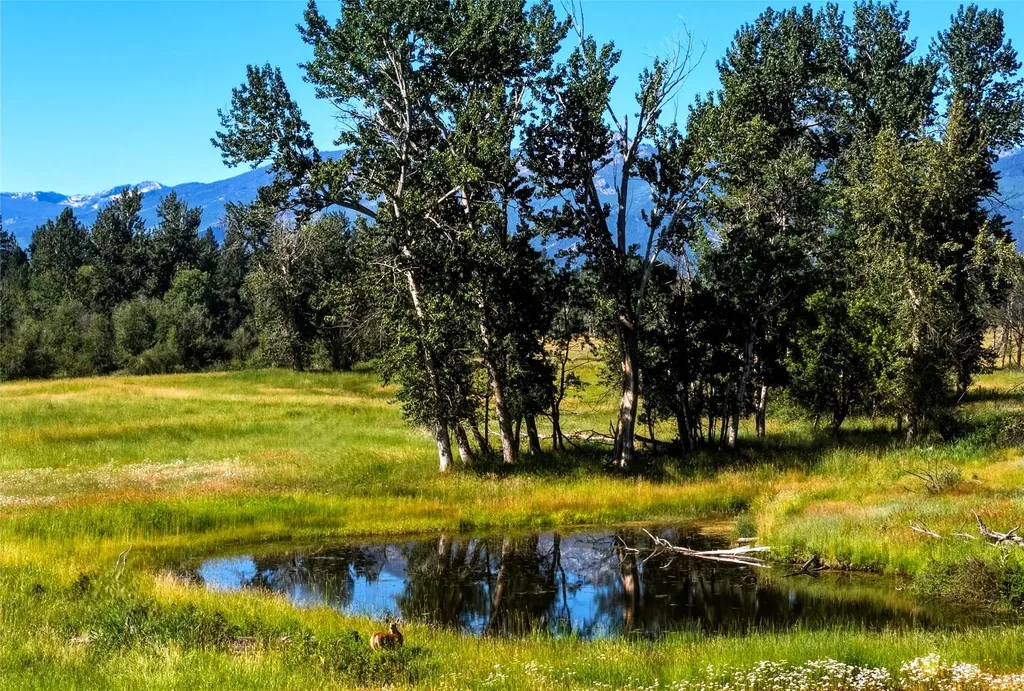 2291 Meridian Road Victor MT 59875
