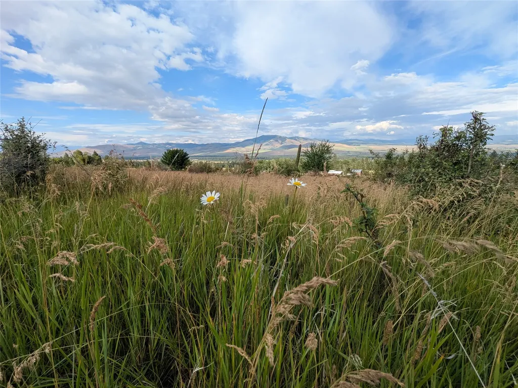 Nhn W Carlton Creek Road Florence MT 59833