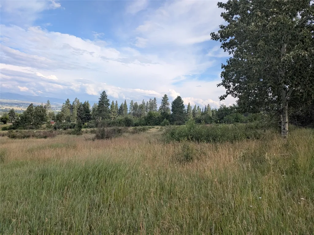 Nhn W Carlton Creek Road Florence MT 59833