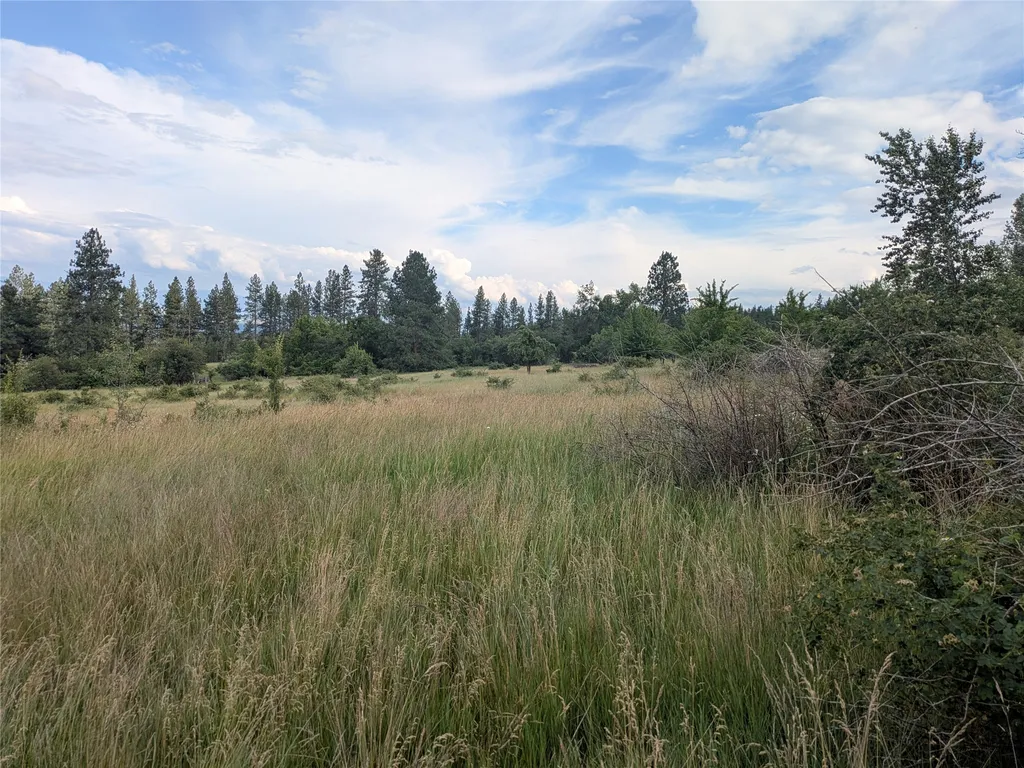 Nhn W Carlton Creek Road Florence MT 59833